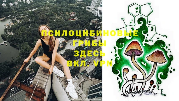 винт Горно-Алтайск